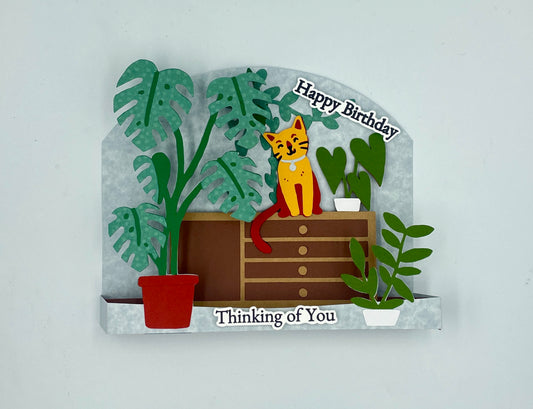 CAT Box Card