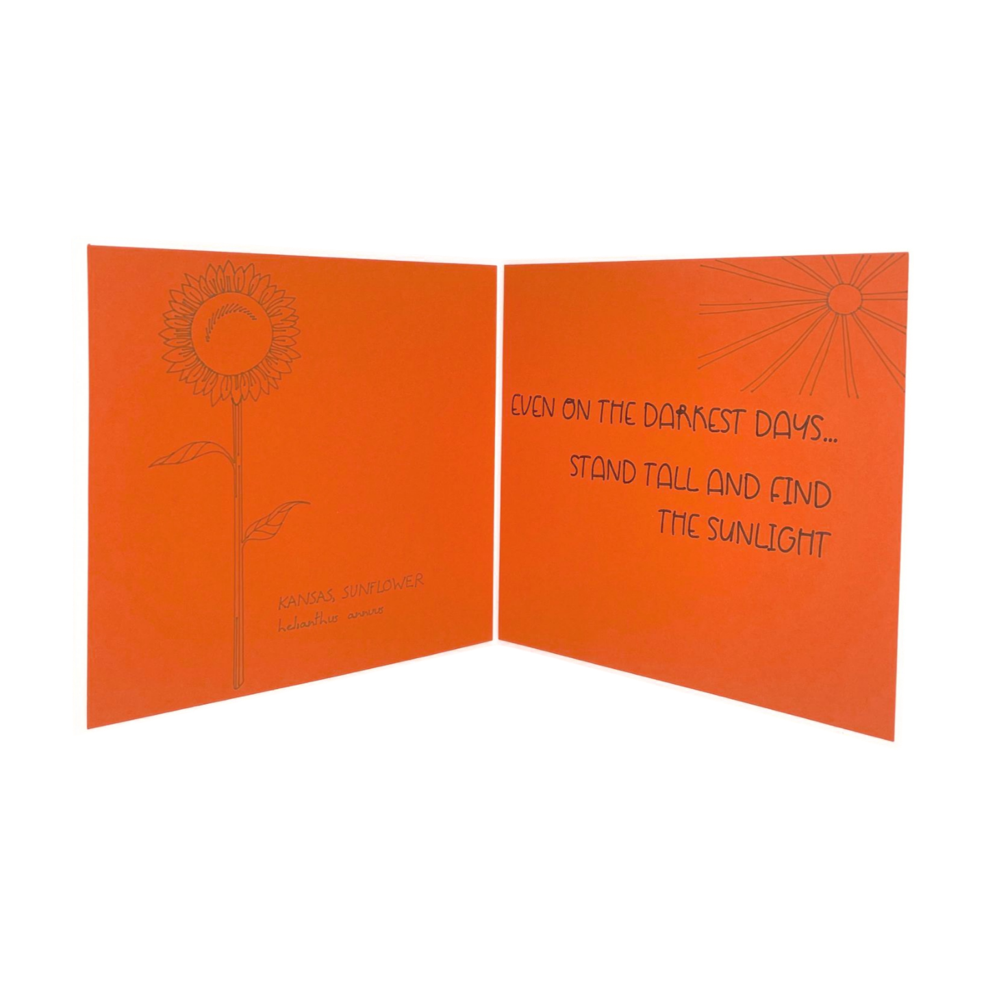 "ADVICE FROM A SUNFLOWER- Orange" Comfort Card