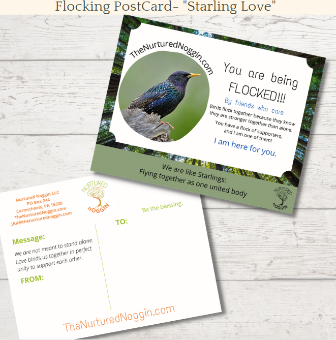 STARLING FLOCKING CARD